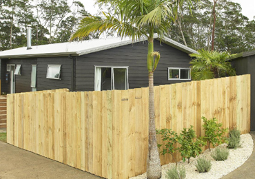 Paling Fencing